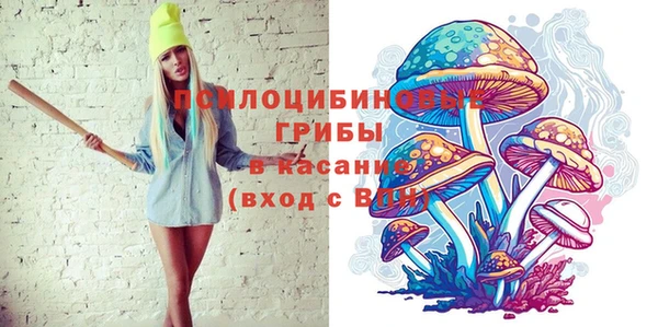 мет Новозыбков