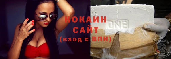 мет Новозыбков