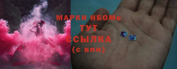 сатива Болхов