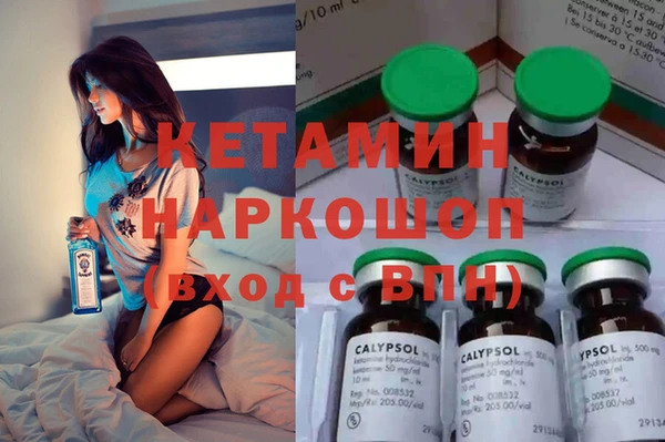 трава Новокубанск