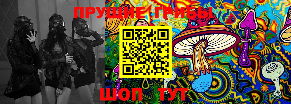 Галлюциногенные грибы Magic Shrooms Владикавказ