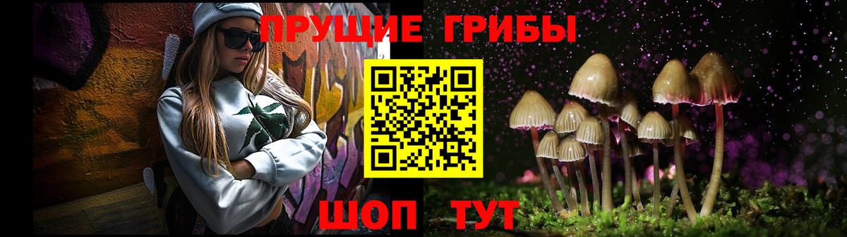 Псилоцибиновые грибы прущие грибы Владикавказ